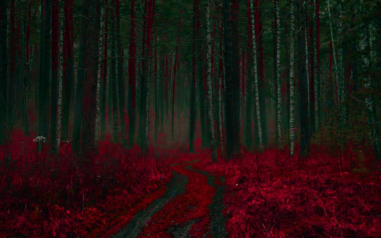 Backwoods: The Beginning — cover art, a misty forest above a blood-red floor.